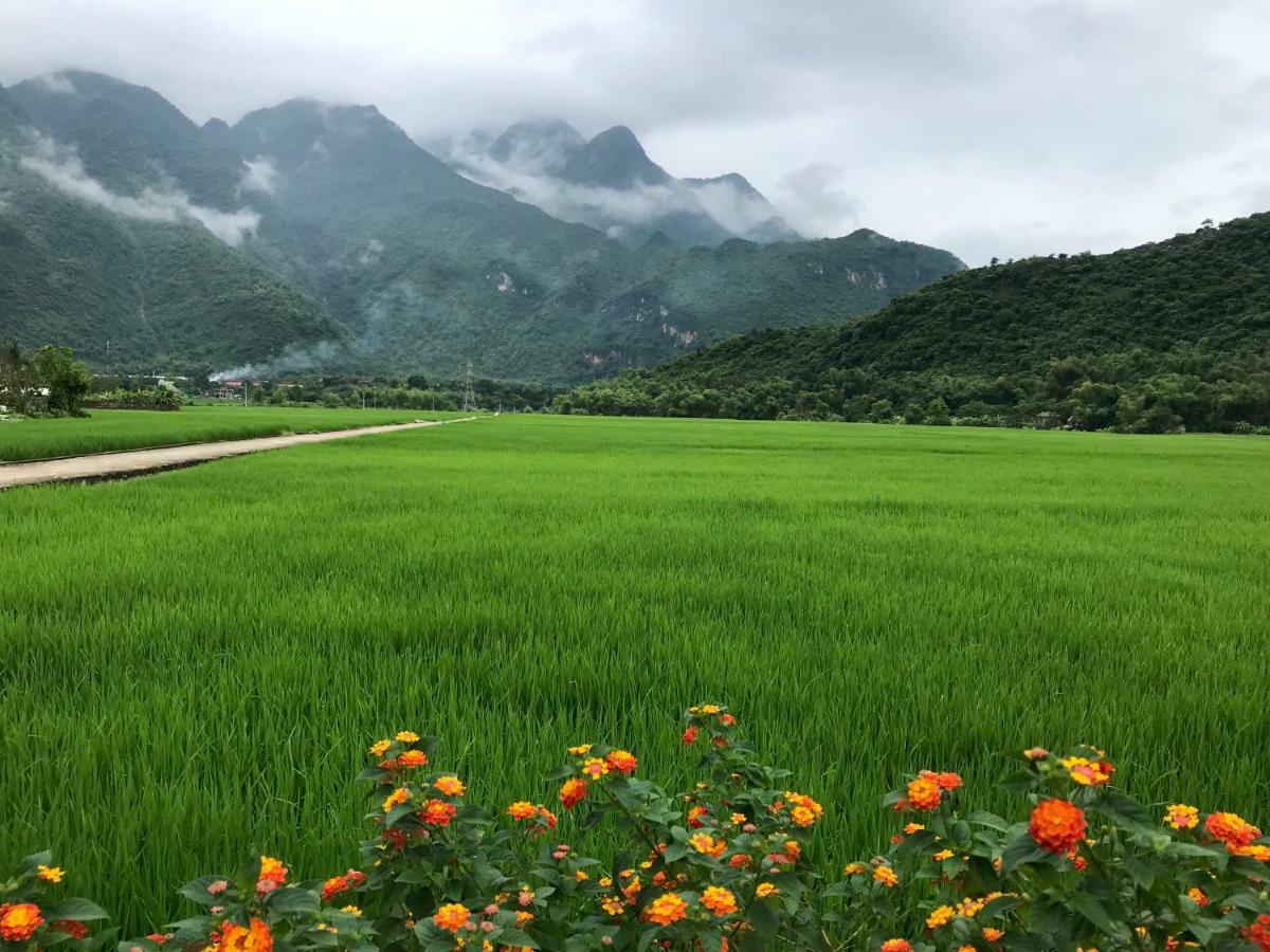 Hotel Jomo House Mai Chau Hòa Bình Zewnętrze zdjęcie