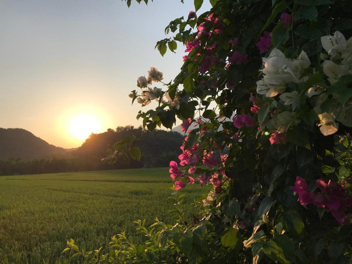 Hotel Jomo House Mai Chau Hòa Bình Zewnętrze zdjęcie