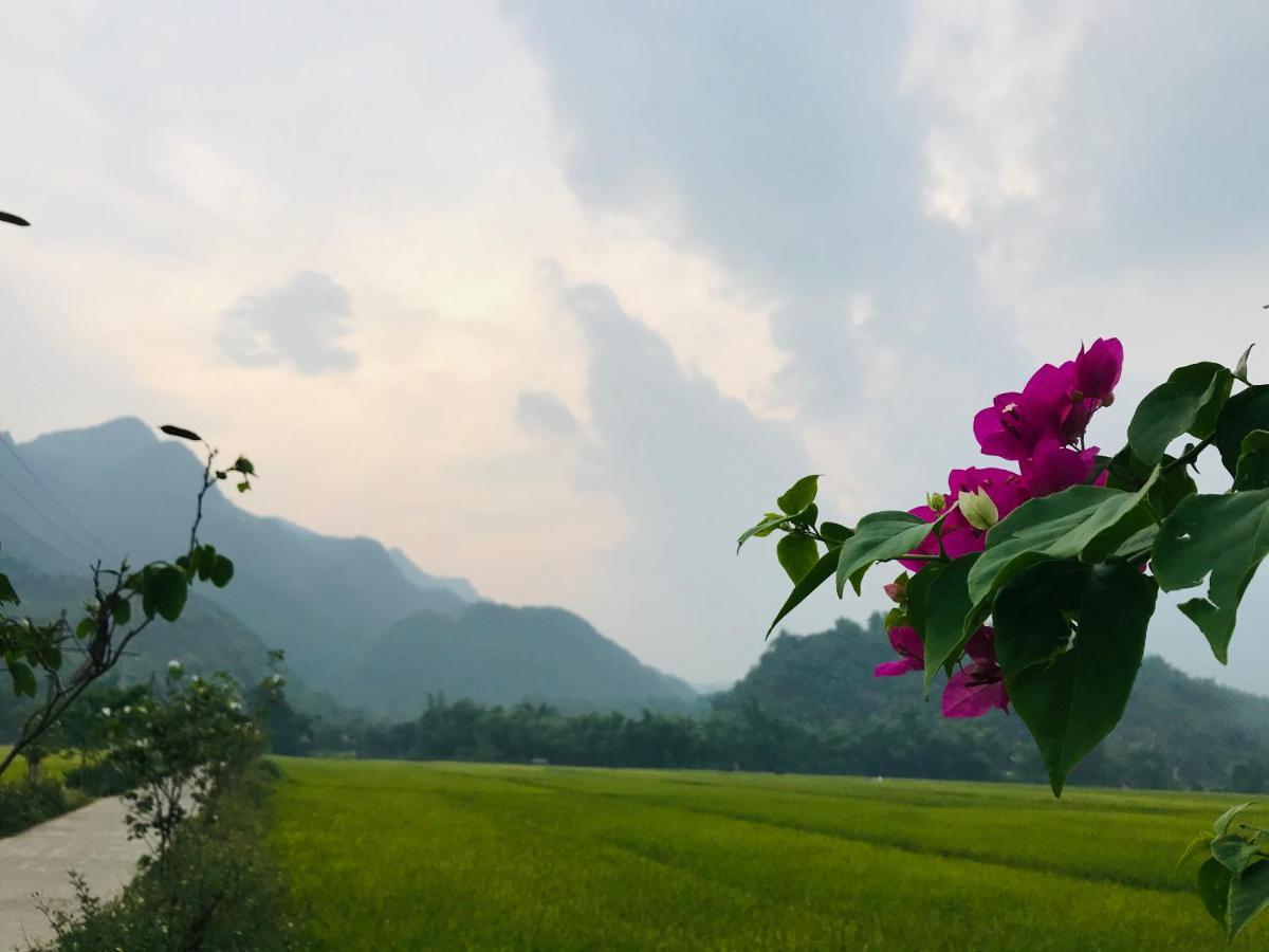 Hotel Jomo House Mai Chau Hòa Bình Zewnętrze zdjęcie