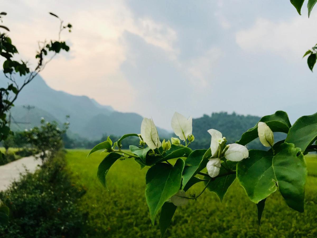 Hotel Jomo House Mai Chau Hòa Bình Zewnętrze zdjęcie